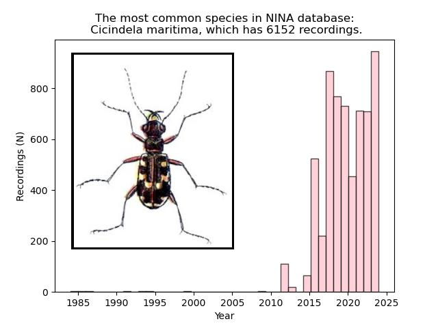 NINA Insects